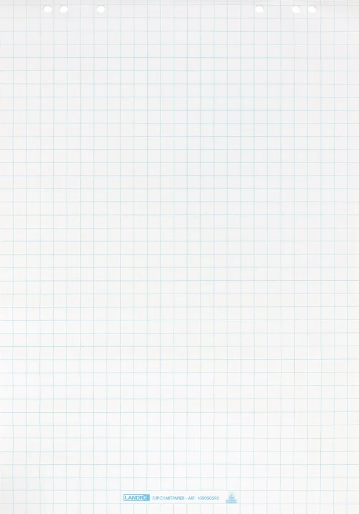 Landre 100050592: Carta per Lavagna a Fogli Mobili 68x99cm 5 Blocchi