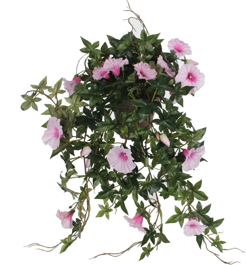 Mica Decorations Petunien hängend in Blumentopf Stan - L50 Produktbild 
