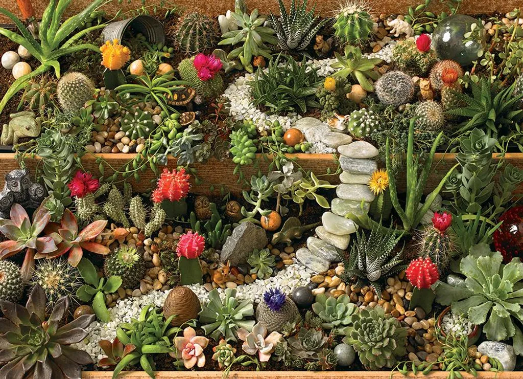 Puzzle adulte 1000 pièces Succulentes jardin - Loisir créatif Nature