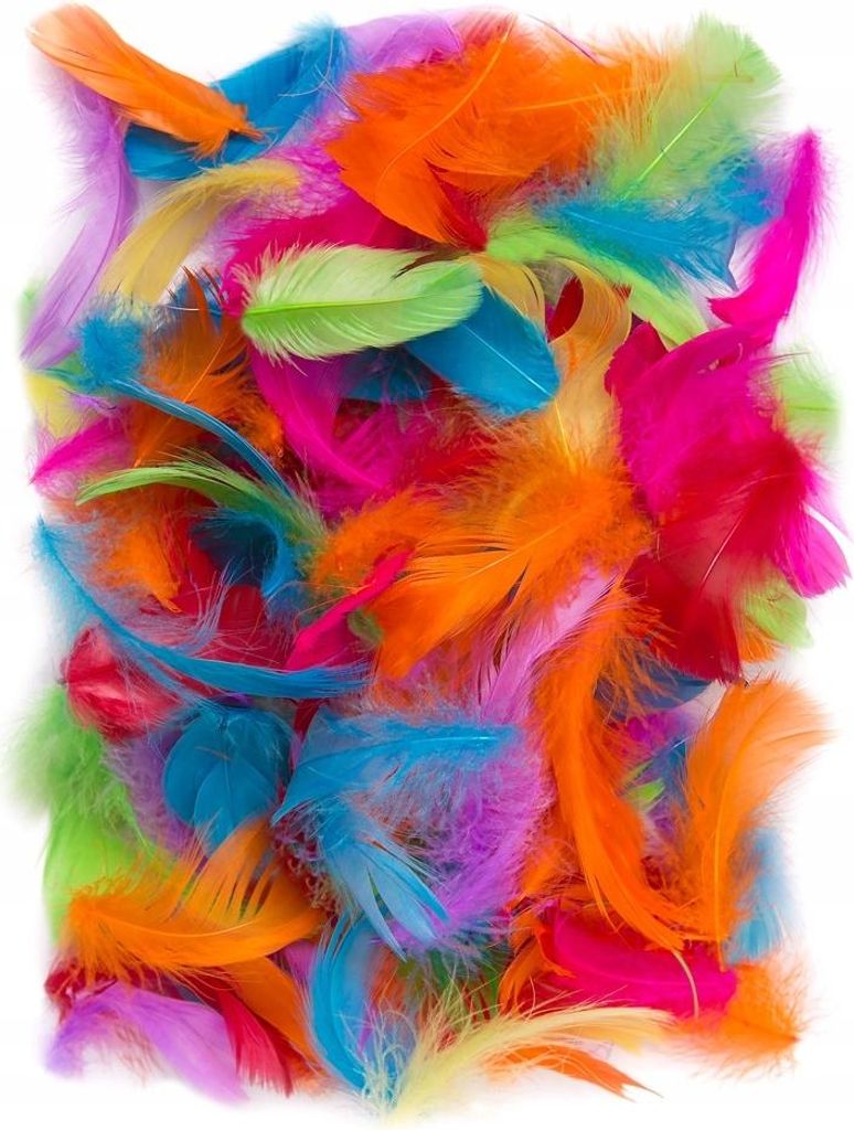 Dekofedern, Ornamental, BUNT, 5-12cm, 10g