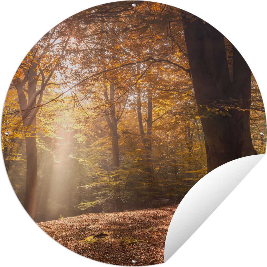 MuchoWow Gartenposter Outdoor-Poster Rund Bäume - Herbst - Orange Ø 90 cm Gartendeko Rundes Poster draußen