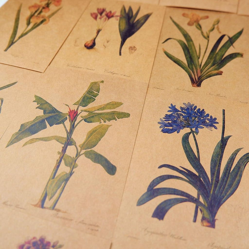 24 Blätter Vintage-Postkarten mit Blumensprache auf Kraftpapier - Liebe und Freundschaft Grußkarten mit Lilien-Design