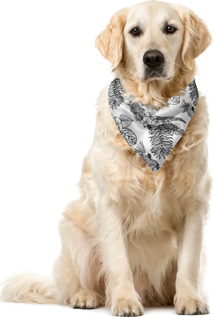 ABAKUHAUS Bandana per animali domestici con stampa uccelli, piante tropicali e uccelli, 40x40 cm, grigio antracite e bianco