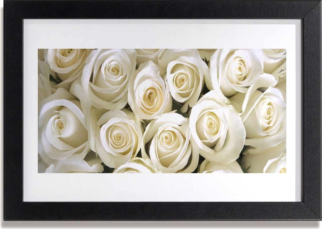 Bild 30x20 MDF-Rahmen Wandkunst Rosen Blumen Pflanzen