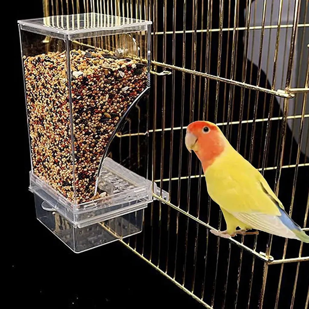 Distributeur de graines pour oiseaux en verre anti-éclaboussures 450ml