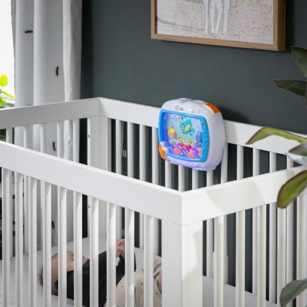 Baby Einstein Sea Dreams speenwiegje Productafbeelding 