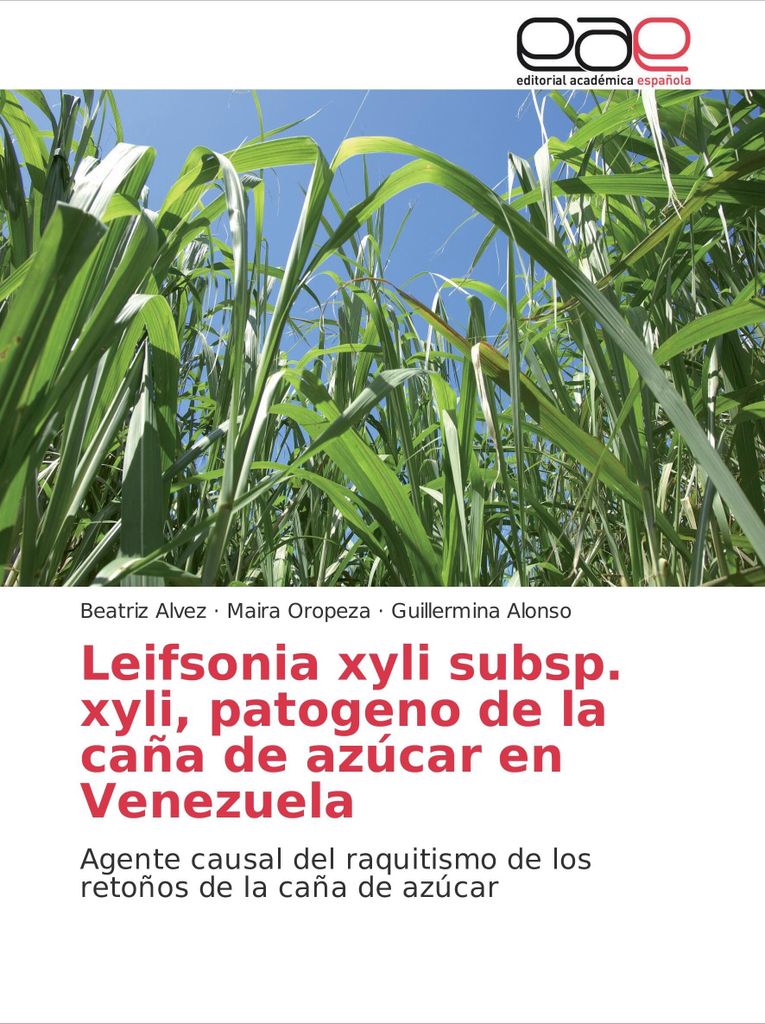 Leifsonia xyli subsp. xyli, Erreger des Zuckerrohrs in Venezuela