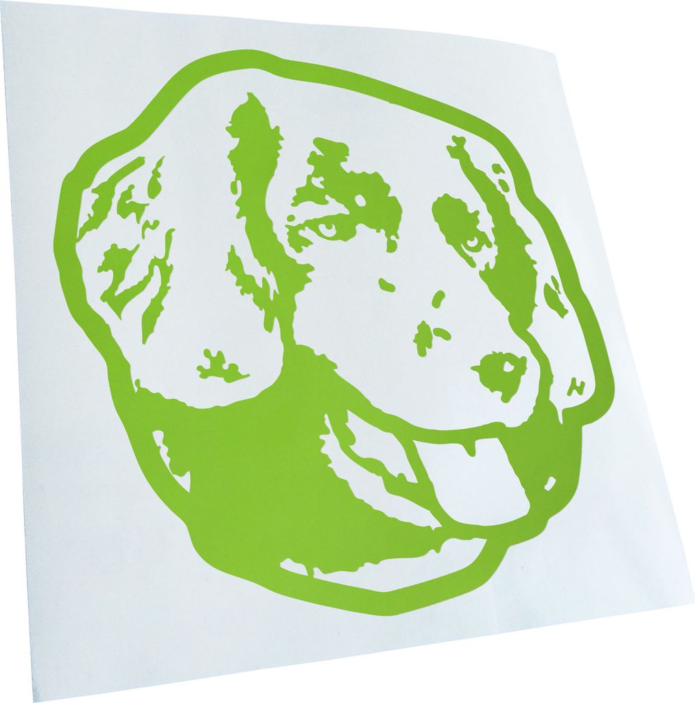 Kiwistar - Autoaufkleber - stabyhoun Hund - Lindgrün - 50x50cm - Aufkleber für Auto, Laptop, Fahrrad, LKW, Motorrad mehrfarbig JDM Decal Racing