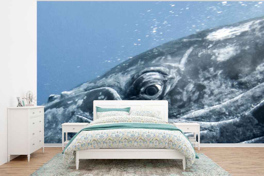 MuchoWow Fototapete für Wohnzimmer oder Schlafzimmer Wandtapete Vinyl Motivtapete Wasser - Tiere - Buckelwal - 375x280 cm - Schlafzimmer tapete