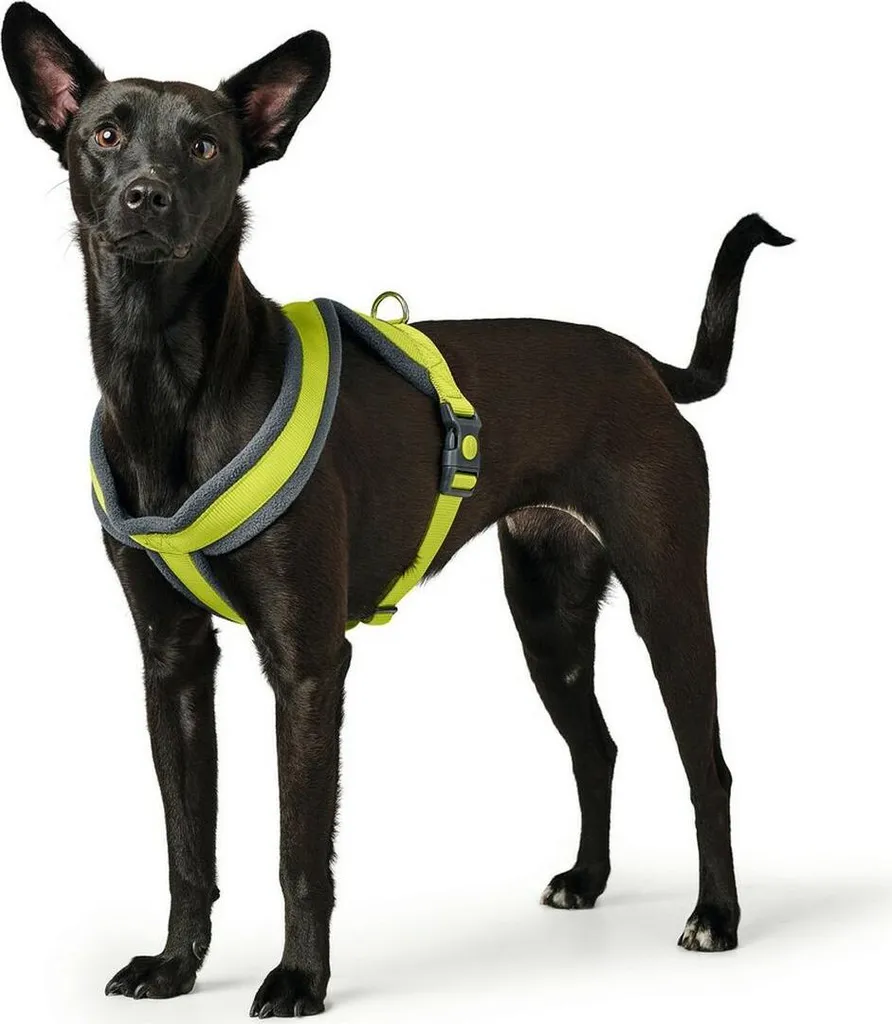 Pettorina per cani Hunter London Comfort Giallo Lemon XS-S 39-47 cm