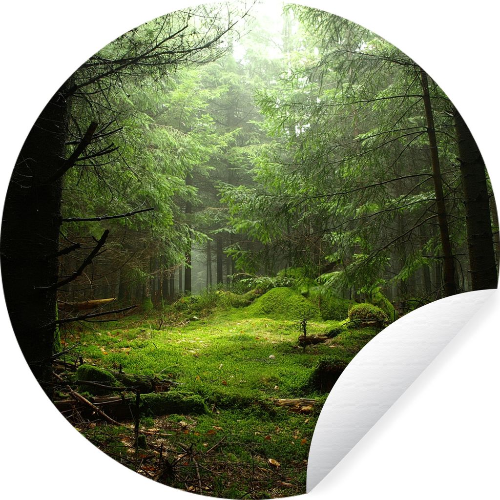 MuchoWow Runde Wandtattoo - Wandsticker Tapete Aufkleber Frankreich - Wald - Moos Ø 30 cm Selbstklebend und Repositionierbar - Wandaufkleber - K...