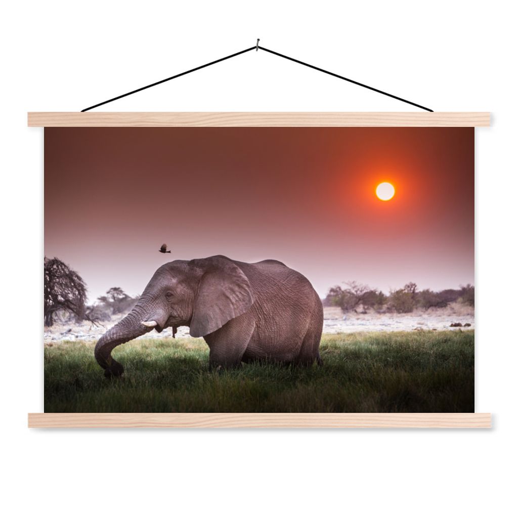 MuchoWow Textilposter Elefant - Gras - Sonne - Tiere 120x80 cm mit holzfarbenen Rahmen - Aufhängeset