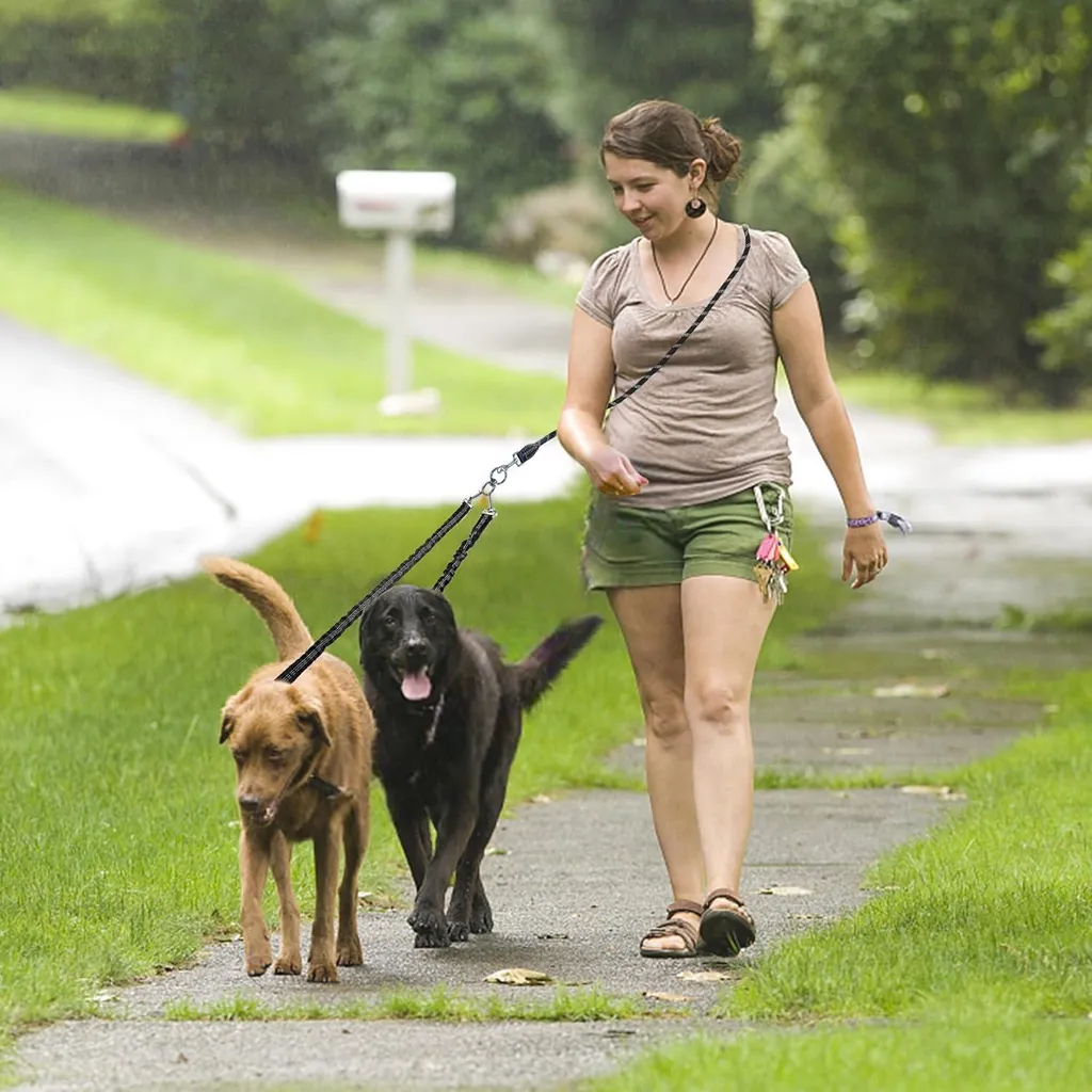 Laisse double pour promener 2 grands chiens sans nœuds - Réglable 3m