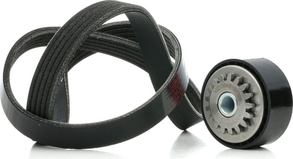RIDEX 542R0855 Keilrippenriemensatz für RENAULT CLIO II Produktbild 