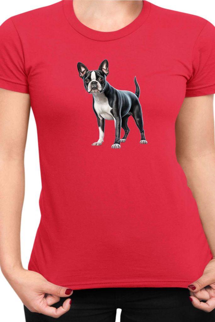 Damen T-Shirt Dogs Breeds Boston Terrier Dog Breed 008, Lady XL / Rot
