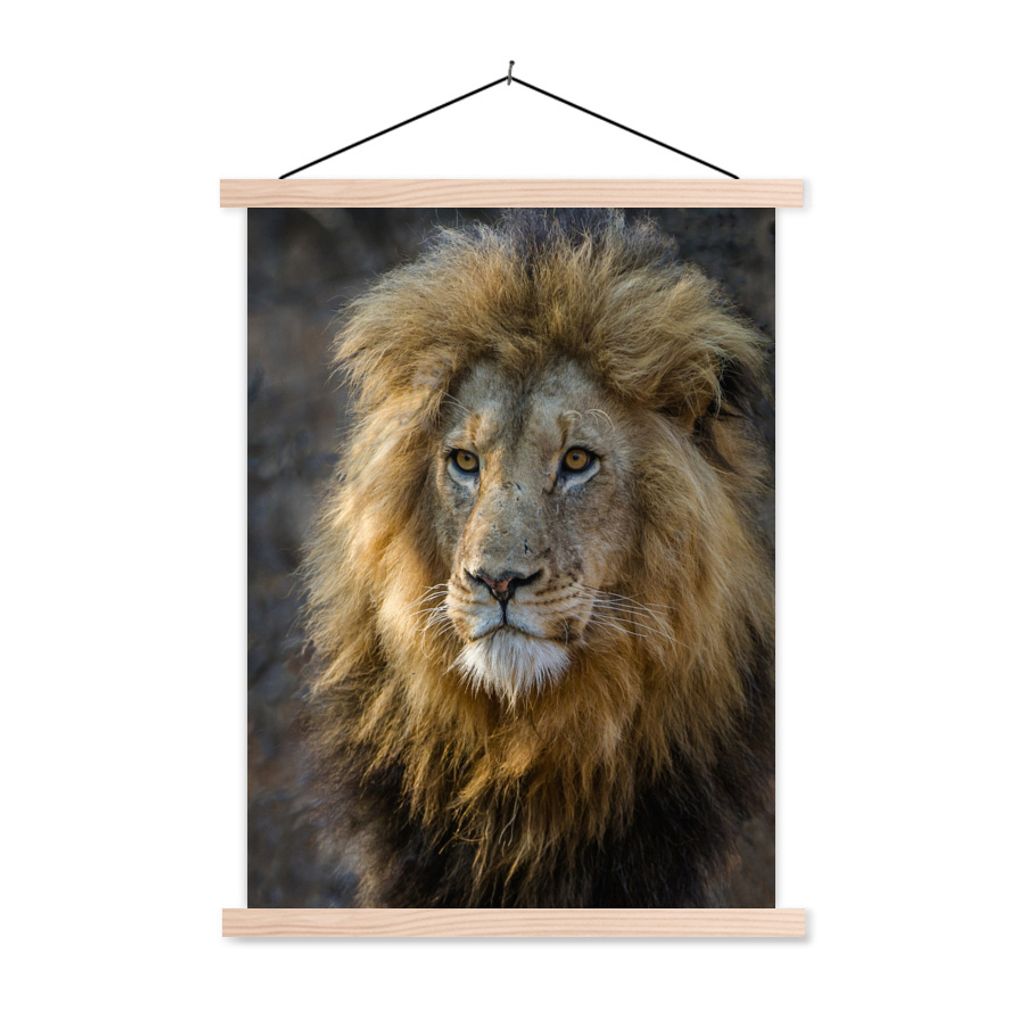 MuchoWow Textilposter Löwe - Porträt - Wild 120x160 cm mit holzfarbenen Rahmen - Plakatkarton