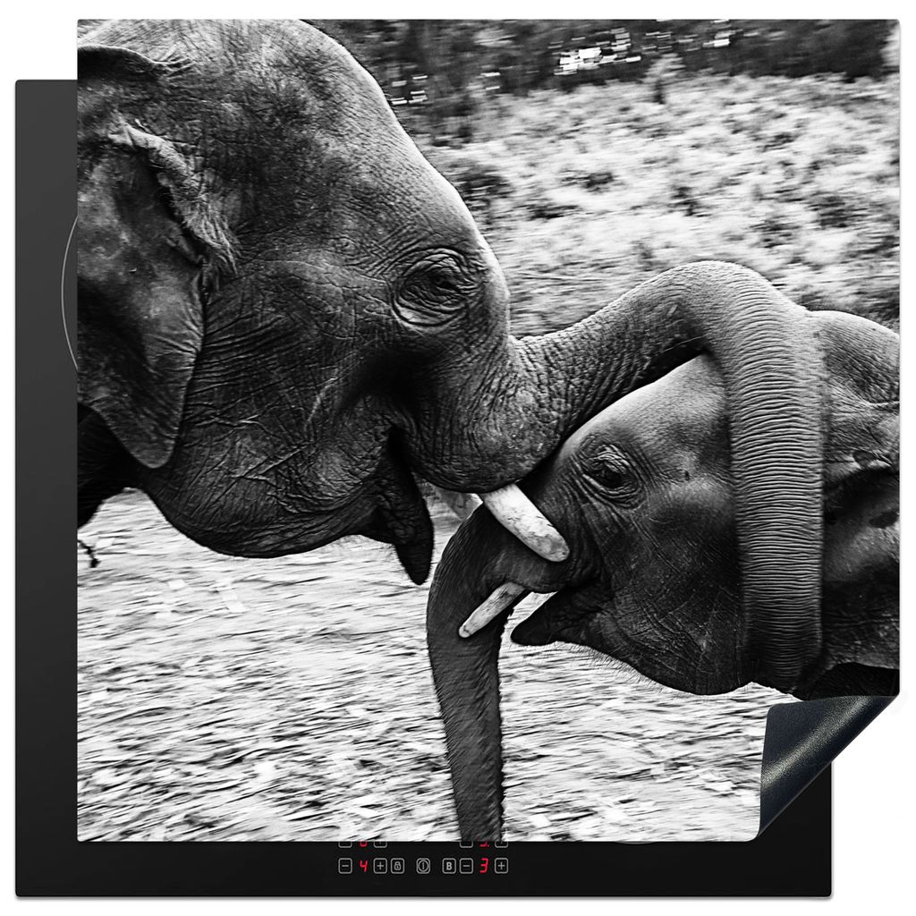 KitchenYeah Herdabdeckplatte Elefant - Tiere - Natur - Schwarz und weiß , 78x78cm, Küche Deko, Glaskeramikkochfeld Herdabdeckung, Abdeckplatte ...