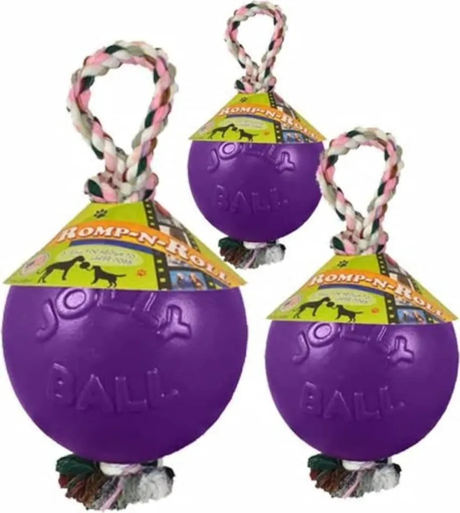 Balle interactive avec corde pour chien - Jolly Pets Romp-n-Roll 10 cm