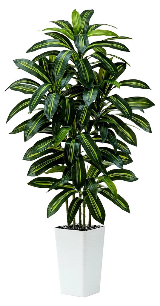 150 cm Künstliche Drachenbaum Pflanze mit Weißem Pflanzgefäß, Kunstbaum für Innendekoration im Wohnzimmer, Schlafzimmer, Büro und Garten