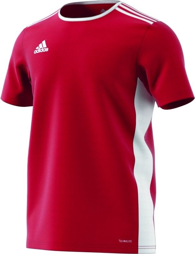 Adidas Koszulki Entrada 18, CF1038, Größe: 176 Zdjęcie produktu 14