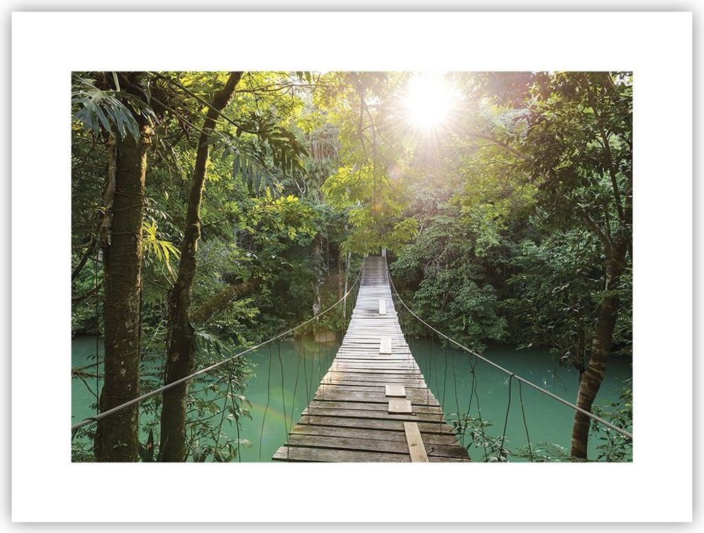 Poster - Poster ohne Rahmen - Brücke Seil Dschungel - 40x30 cm - Wand Bild - Wanddeko - Wandbilder - Kunstposter - Wandposter - Bilder - Kunstdruc...