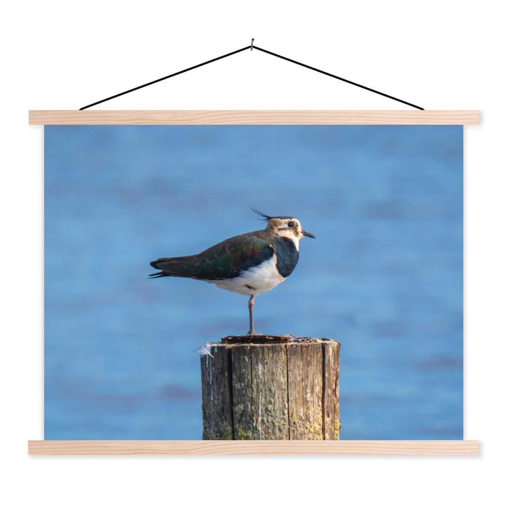 MuchoWow Textilposter Vogel - Tiere - Pfahl - Blau - Kiebitz 120x90 cm mit holzfarbenen Rahmen - Magnetisch