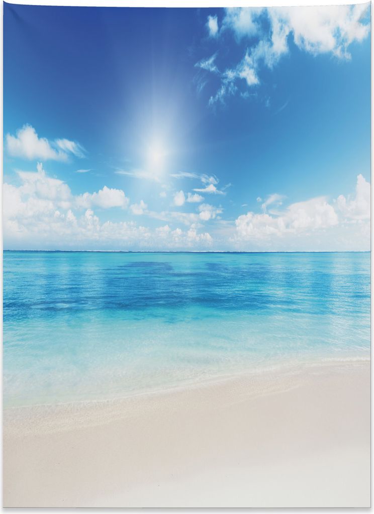 Abakuhaus Küsten Wandteppich, Karibisches Sommermeer aus Weiches Mikrofaser Stoff Kein Verblassen Klare Farben Waschbar, 110 x 150 cm, Türkis Wei...