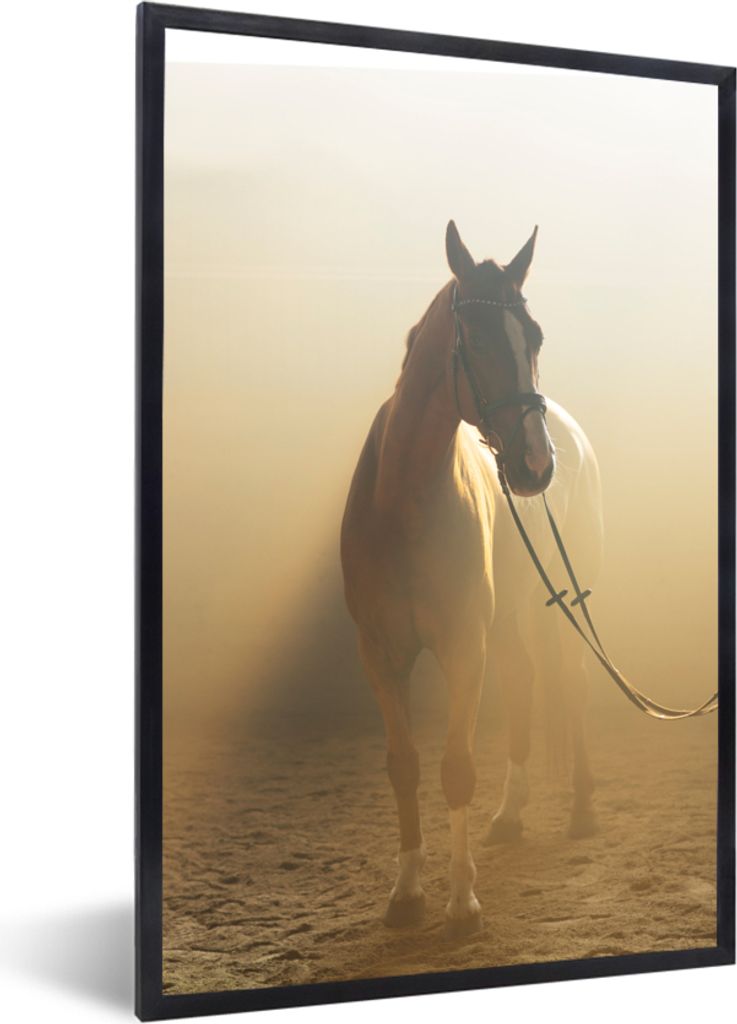 MuchoWow MuchoWow Gerahmtes Poster Pferd - Licht - Sand 60x90 cm - Poster mit zchwarzem Bilderrahmen - Kunst