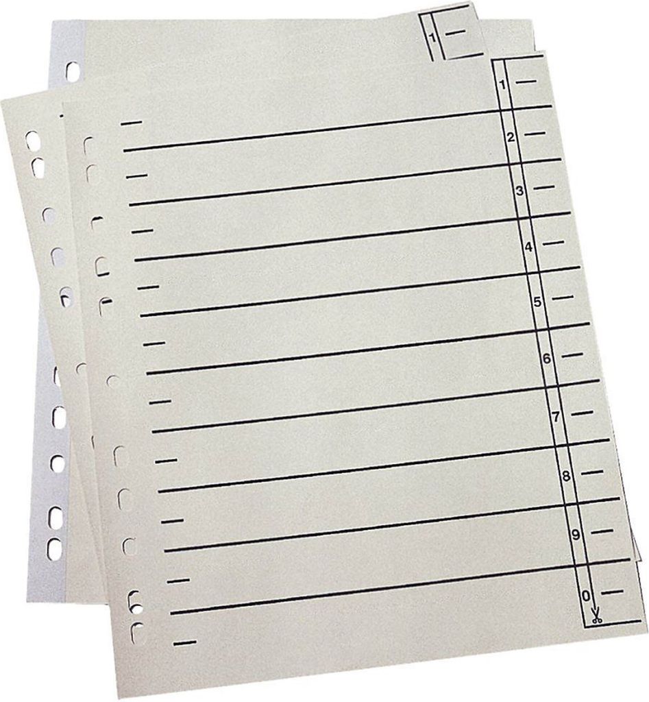 Trennblätter - A4 Überbreite, 230 g/qm Karton, chamois, 100 Stück