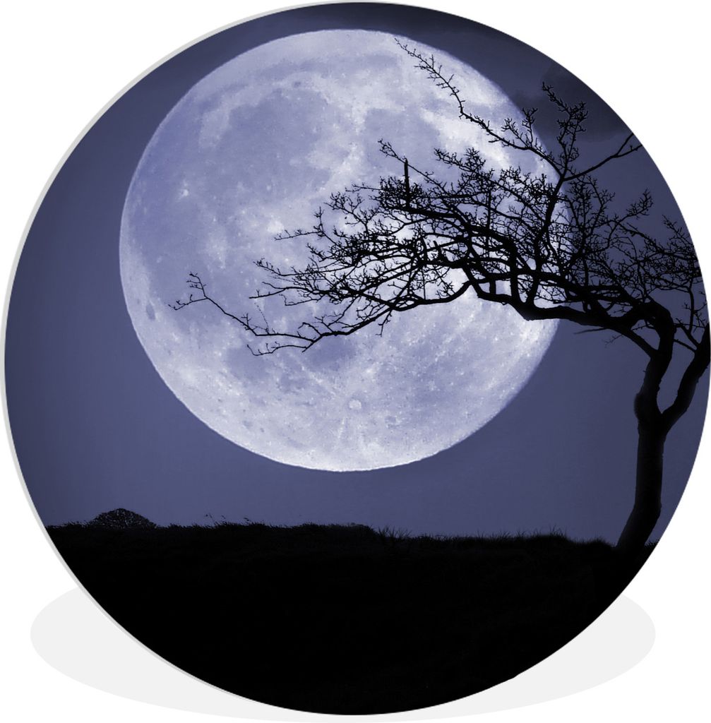 MuchoWow Rundes Wandbild - Runde Bilder Mond - Baum - Schwarz Ø 90 cm Kreis Wanddekoration Kunststoff - Wandkreis - Wandschmuck - Wand-Kreis - W...