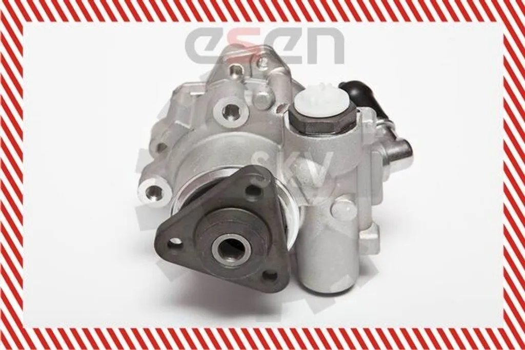 Supprimer les bruits de direction BMW Z3 avec la pompe ESEN 10SKV015