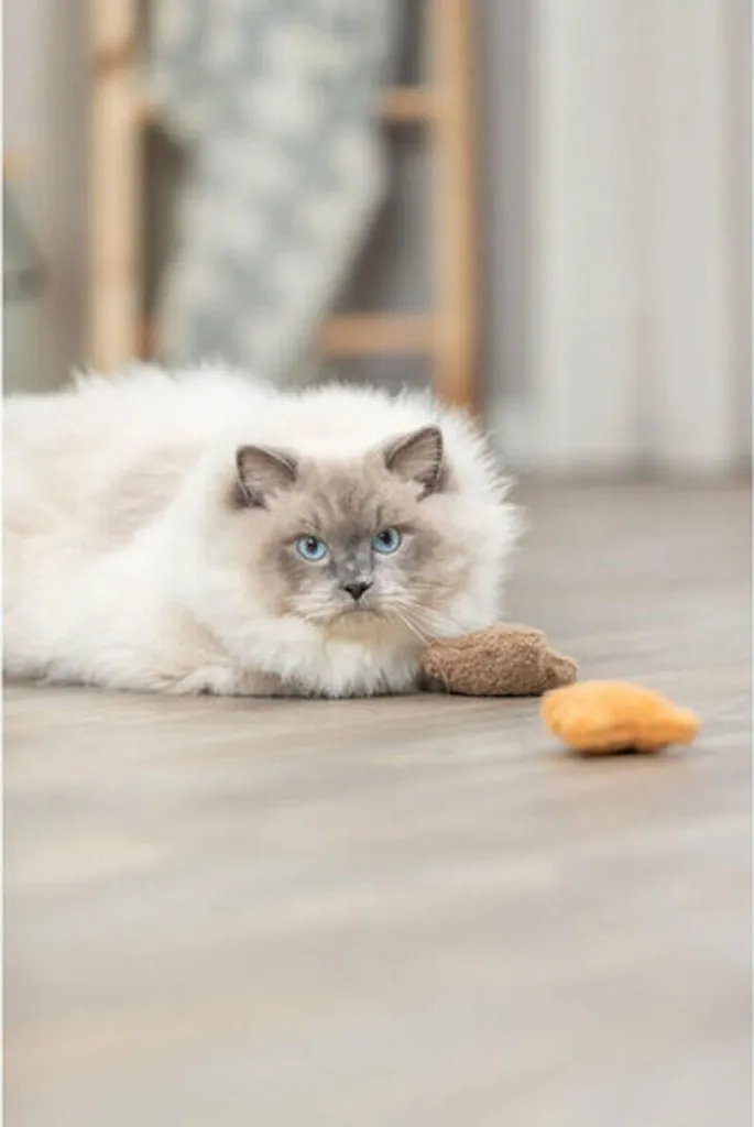 Stock Orsetti Peluche 8 cm | Prezzo Imbattibile per Rivenditori - 12
