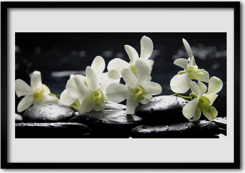 Bild 70x50 MDF-Rahmen Wandkunst Stein Blume Pflanze