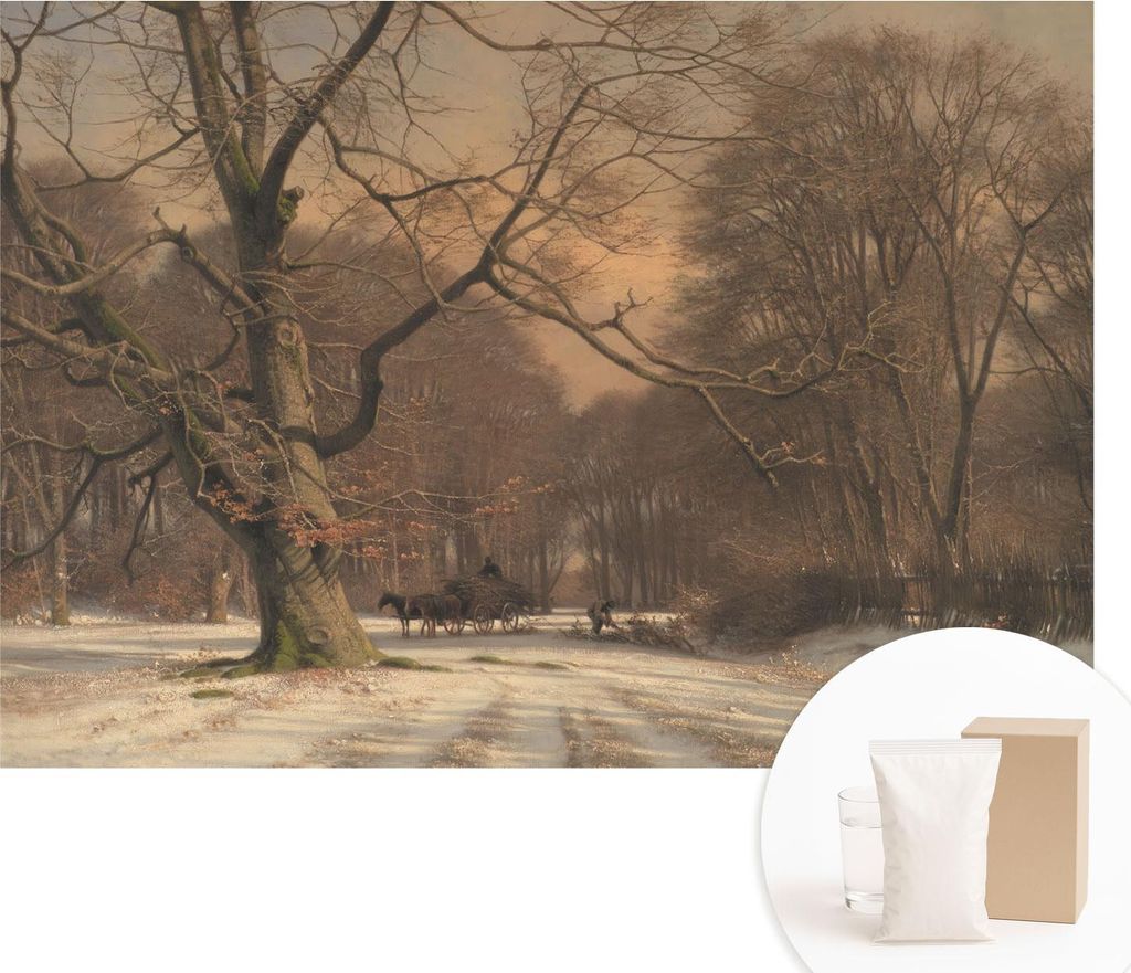 Fototapete - Wandbilder für Wohnzimmer - 312x219 cm - Dekorative Wandfolie - Modernes Design für Wanddekoration - Tapeten für Innenräume - Wint...