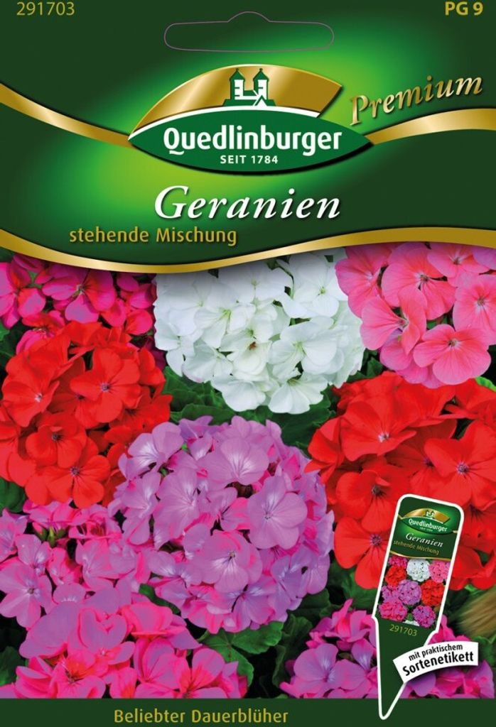 Artikelbild 1 von 'Geranien stehende Mischung' aus der Kategorie Geraniensamen