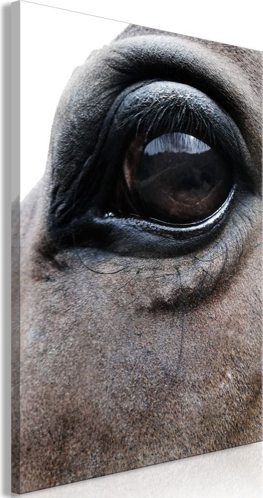 Italienischer Leinwand Leinwandbild - Honest Eyes (1 Part) Vertical 60x90 cm Tiere g-A-0201-b-a