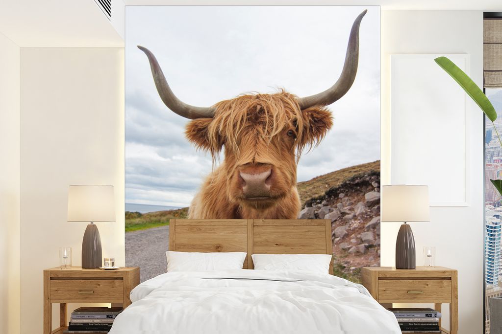 MuchoWow Fototapete für Wohnzimmer oder Schlafzimmer Wandtapete Vinyl Motivtapete Schottischer Highlander - Hörner - Berg - 160x220 cm - Bildsc...