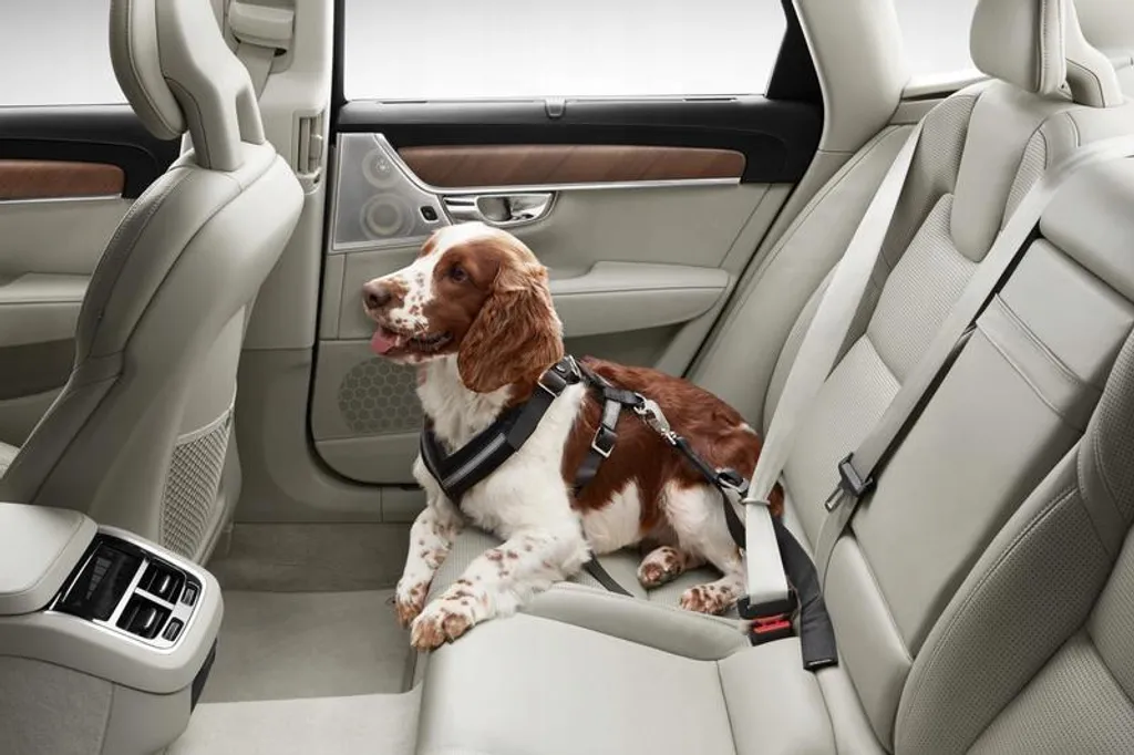 Harnais Voiture Volvo pour Chien : Voyagez en Sécurité sur Siège Arrière