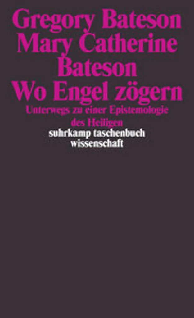 Thriller Wo Engel zögern : intrigue noire et suspense psychologique haletant