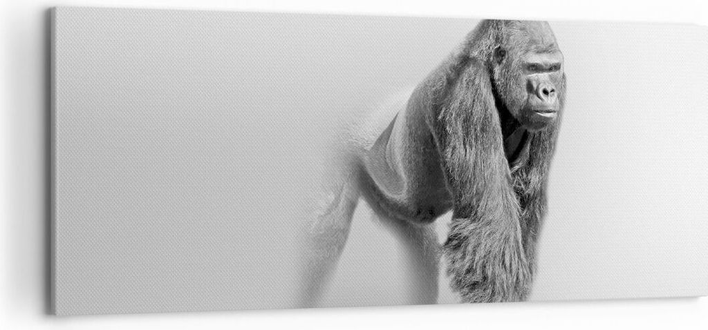 Bild auf Leinwand - Leinwandbild - Orang-Utan Tier - 120x50cm - Wand Bild - Wanddeko - Wandbilder - Leinwanddruck - Bilder - Kunstdruck - Wanddekor...