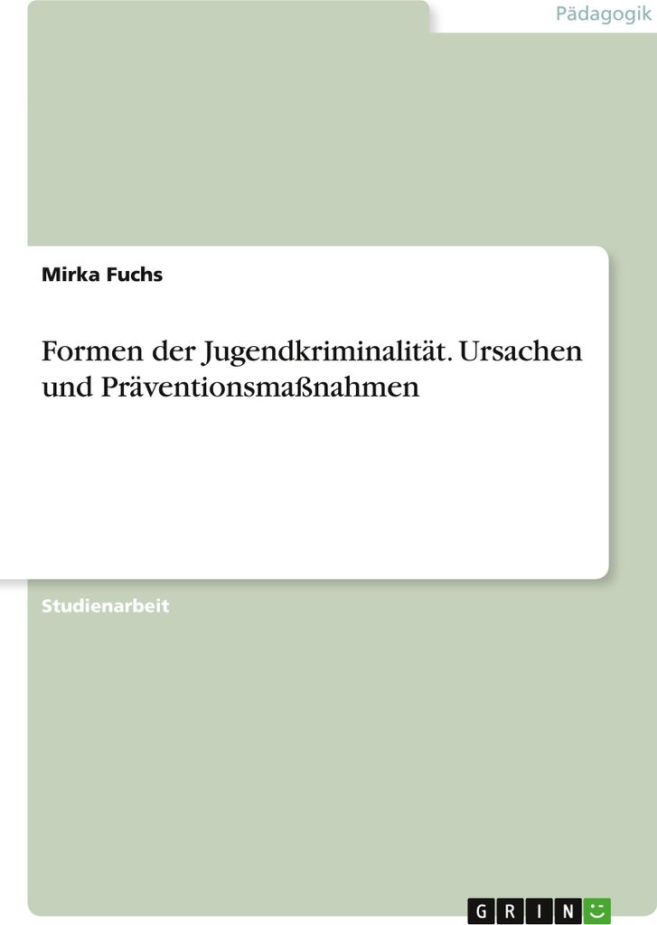 Formen der Jugendkriminalität. Ursachen und Präventionsmaßnahmen