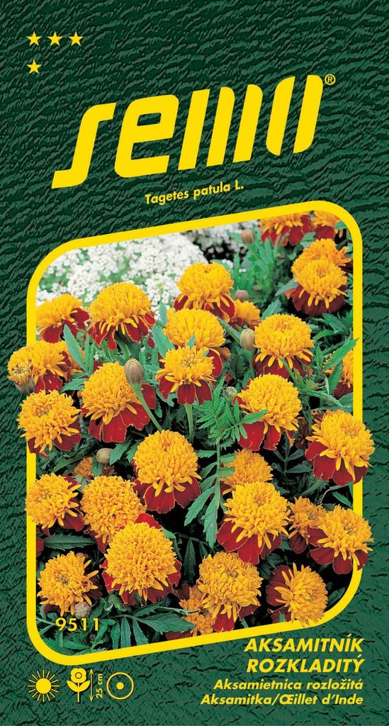 Saatgut Tigerauge 1g