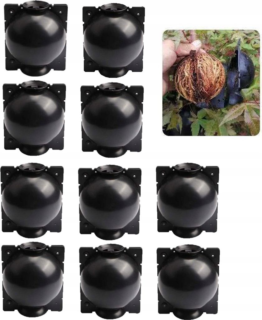 Koreňové gule Zakoreňovanie podpníkov Výsadba sadov Obrázok produktu 