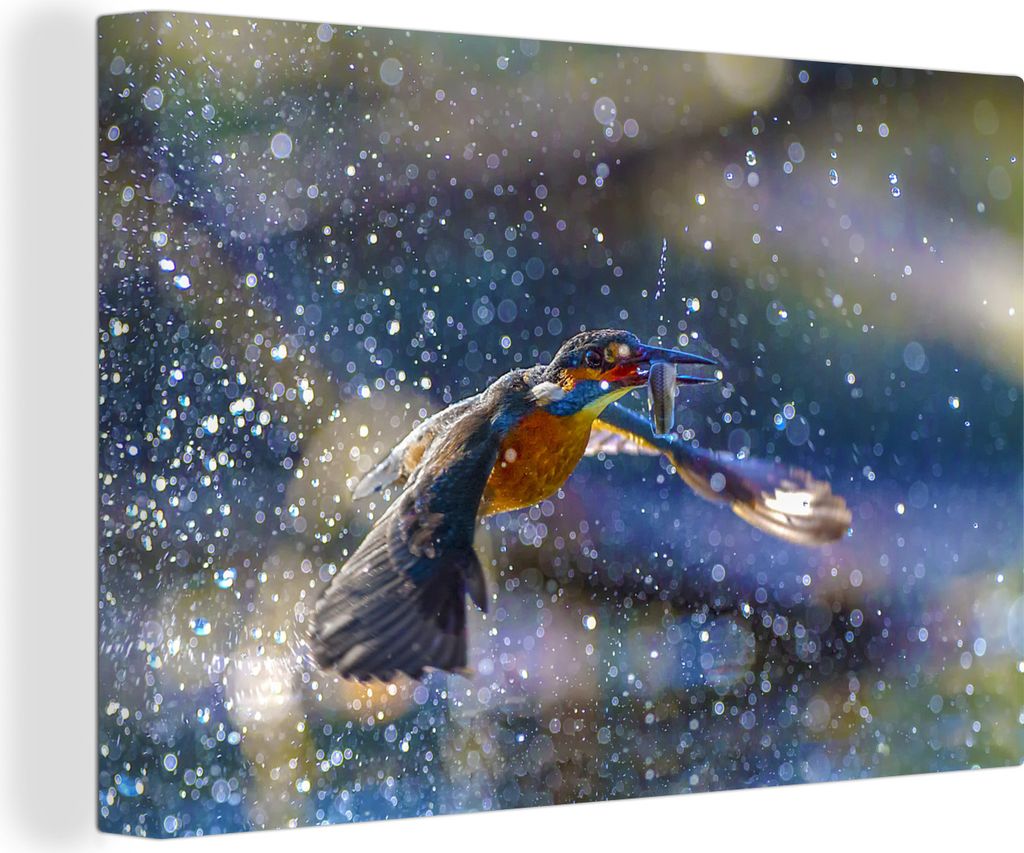 OneMillionCanvasses - Leinwandbilder - 140x90 cm, Eisvogel - Wasser - Fisch, Wandbilder Kunstdruck Wanddekoration