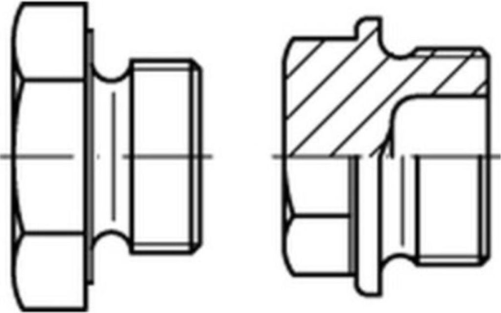Reyher Verschlußschrauben DIN 7604 Stahl C M 10 x 1 (100 Stück)