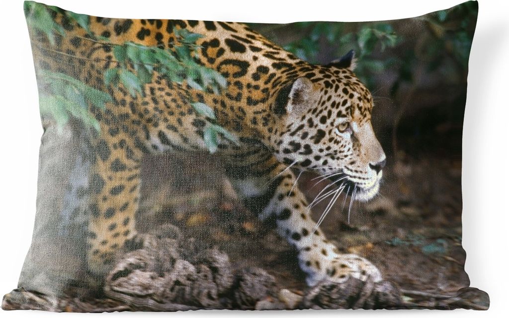 MuchoWow Outdoor Kissen - Schleichender Jaguar im Wald - 60x40 cm - Wetterfest - Lounge Kissen - Zierkissen - Kissen für Innenräume