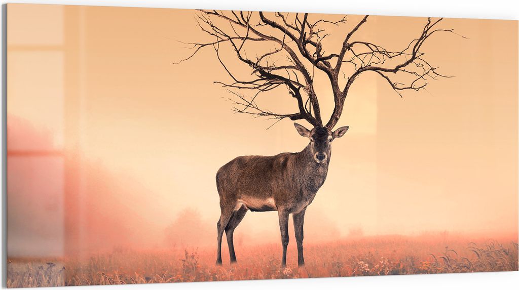 DEQORI Glasbild Echtglas 100x50 cm 'Zauberwaldhirsch' Wandbild Bild modern Deko