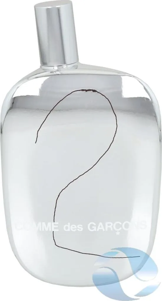 Comme Des Garcons 2 Eau de Parfum 100ml - Parfum Mixte Iconique