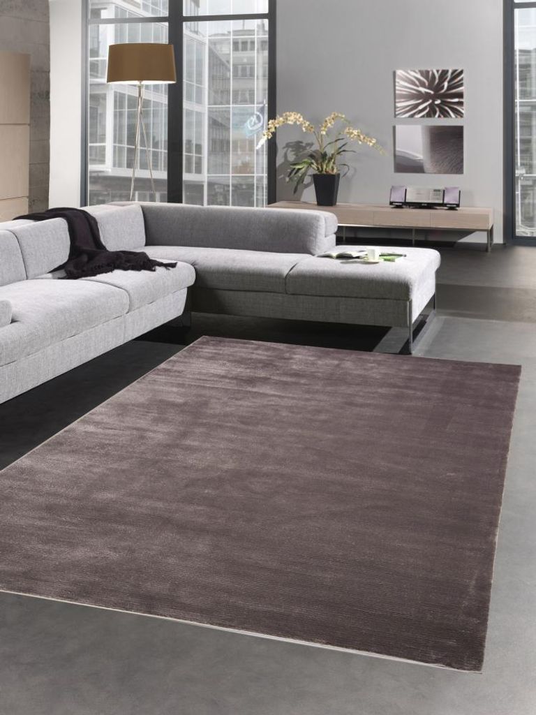 Teppich Wohnzimmerteppich Läufer uni braun Größe - 160x230 cm