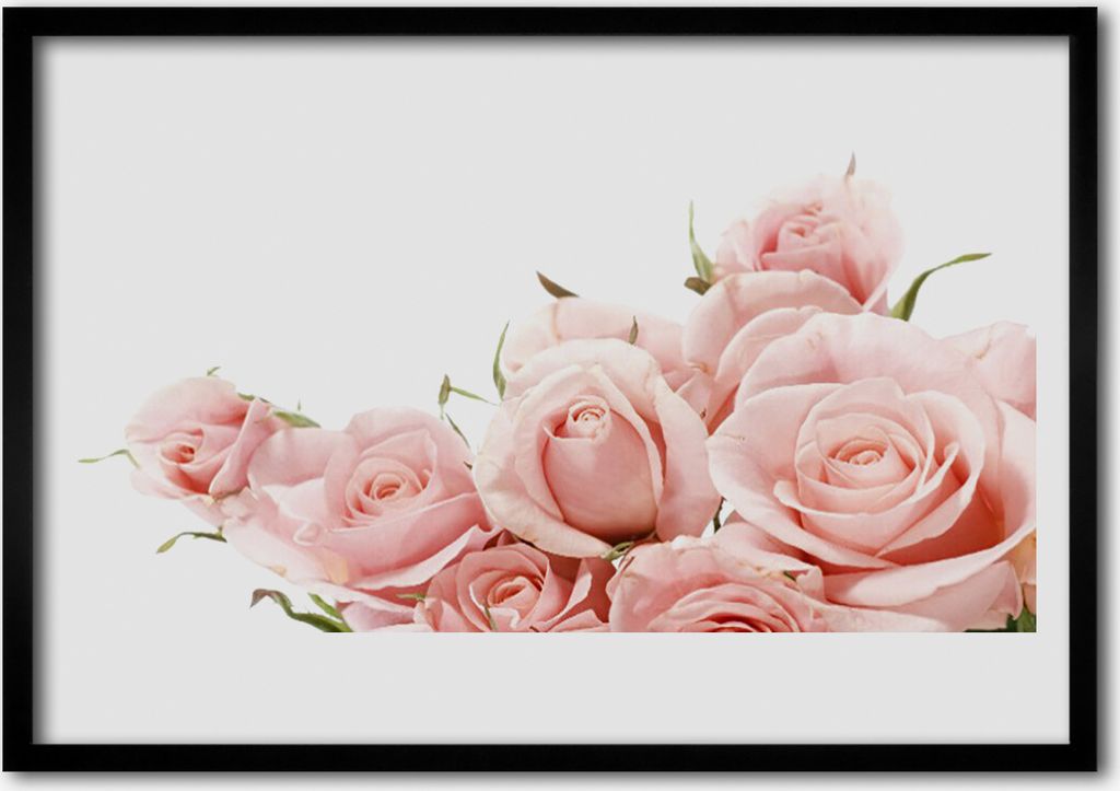 Bild 100x70 MDF-Rahmen Wandkunst Rosen Blumen Pflanzen